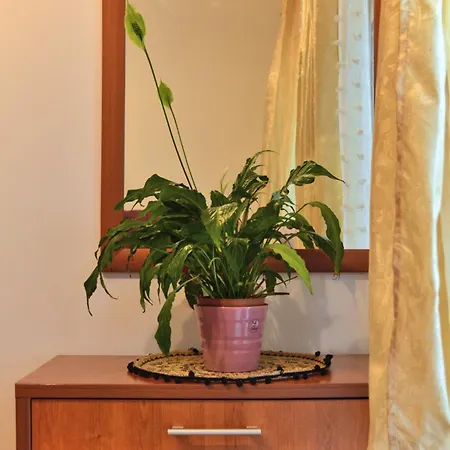 Apartment Club House Apartment With Garden And Pool *